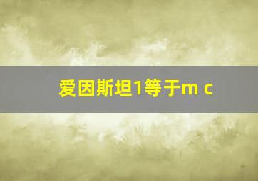 爱因斯坦1等于m c